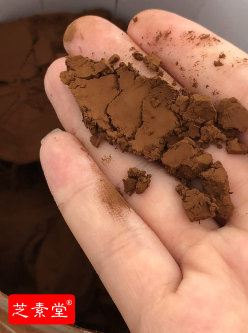 破壁灵芝孢子粉的效果究竟是灵芝多糖还是灵芝三萜效果好？