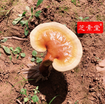1599643759576970.png image.png
