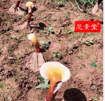 营养不良怎么改善好呢？