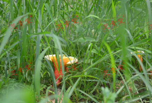 1602063615472575.png image.png