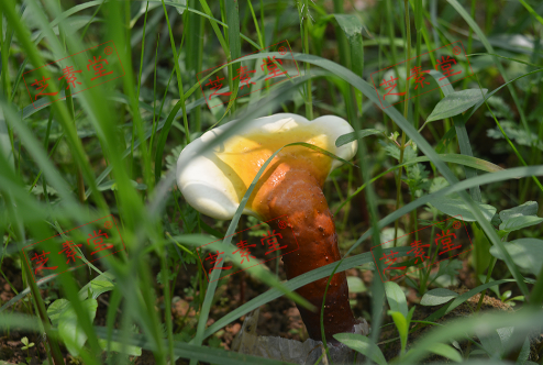 1602754808126358.png image.png