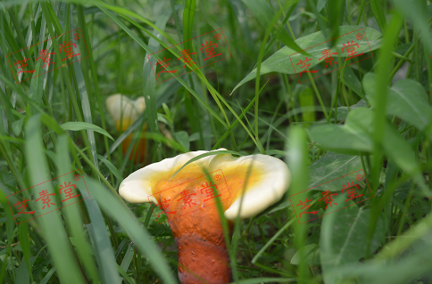 1604569133115824.png image.png