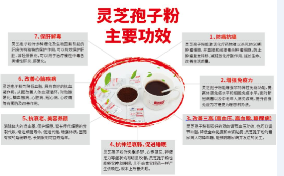 破壁灵芝孢子粉的作用与效果怎么样呢？