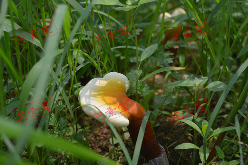 1606725962499814.png image.png