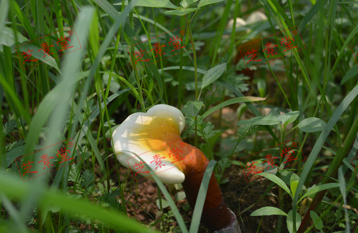 1607071242375280.png image.png