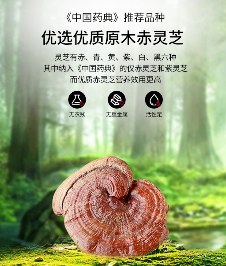 灵芝孢子粉早晚什么时间吃好？哪个牌子好？