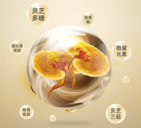 过敏体质可以吃灵芝孢子粉吗？可以改善体质吗？