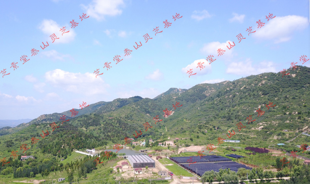 1632908393(1).png