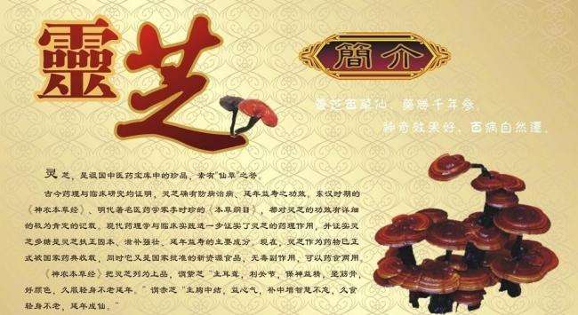 灵芝孢子粉的功效与作用对经常喝酒的人有哪些好处？
