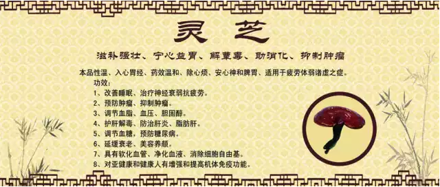 灵芝孢子粉有啥功效？你知道的可能有点少！