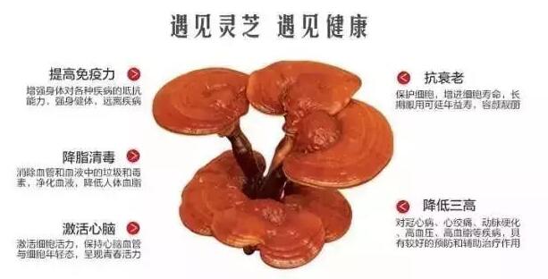 四类人不能吃灵芝孢子粉，你属于哪一类？