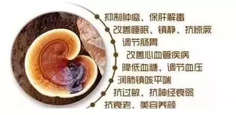 13302362-7afa1519c9adbbe1.webp.jpg 13302362-7afa1519c9adbbe1.webp.jpg