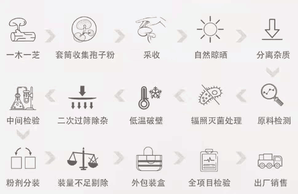灵芝孢子粉是怎么形成的，99%的人还不知道这一点！