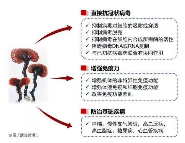 抗新冠.jpg 抗新冠.jpg