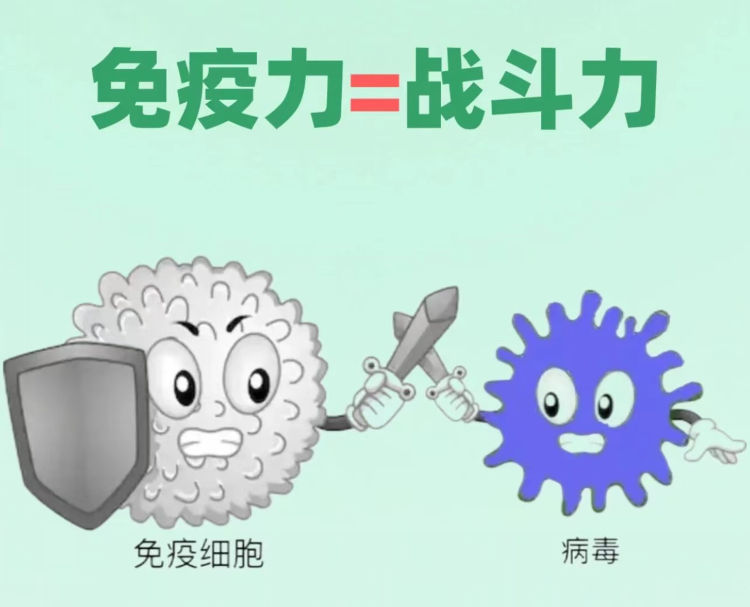 灵芝孢子粉的好处有哪些？这些好处你知道吗？来看看吧