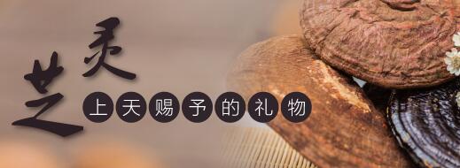 吃灵芝孢子粉有什么禁忌？以下几点要清楚！