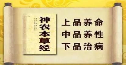 灵芝孢子粉什么人群不能吃？这几类要注意