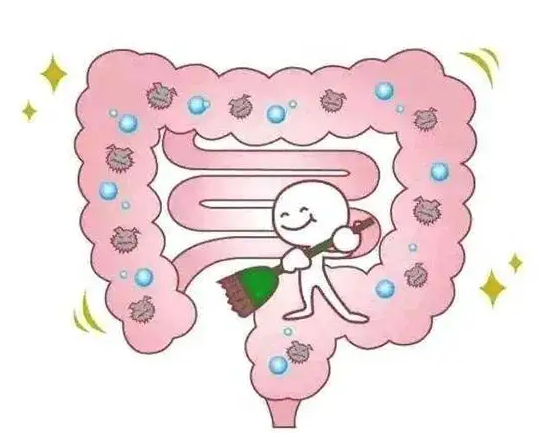益生菌可以改善便秘吗？益生菌改善便秘的原理