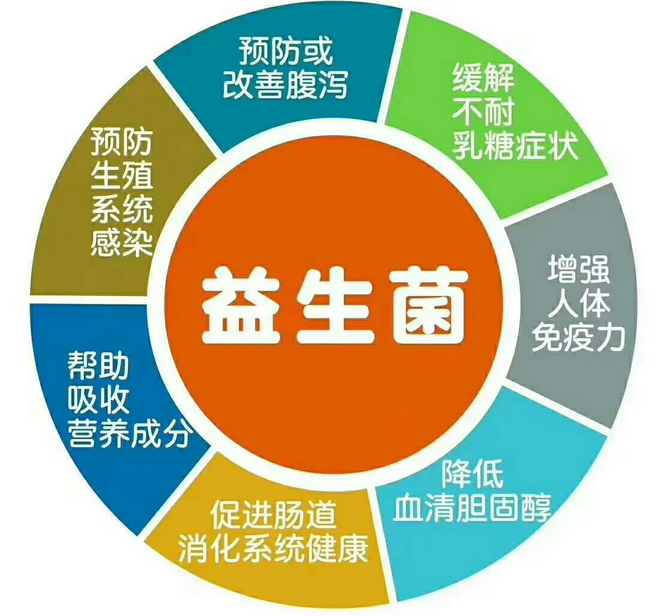 月经期可以吃益生菌吗？这些好处你肯定不知道