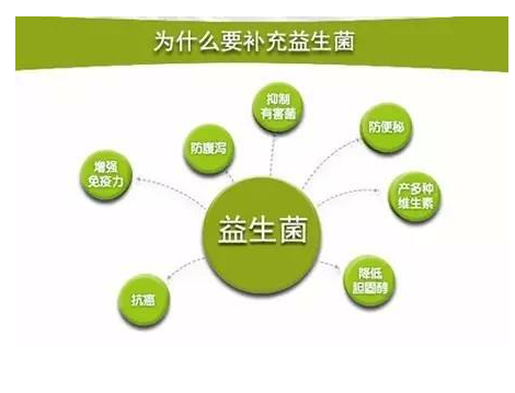 老年人吃益生菌有什么好处？不了解还真不知道