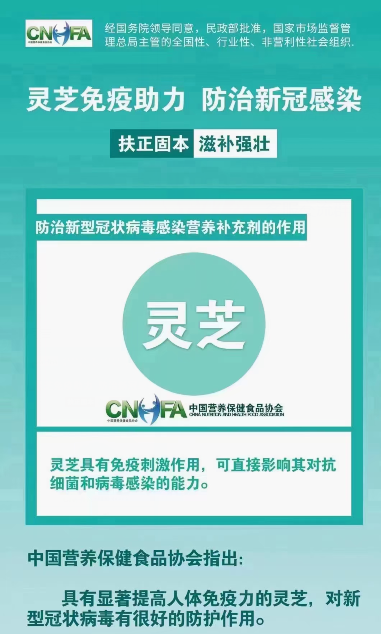什么时候服用灵芝孢子粉最好？无论何时效果都好vs固定时间效果最佳