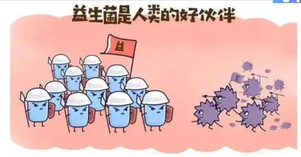 益生菌可以用热水泡吗？这个食用方法你肯定不知道