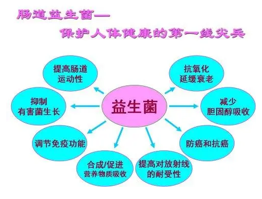 一分钟了解益生菌饮料的作用与功效