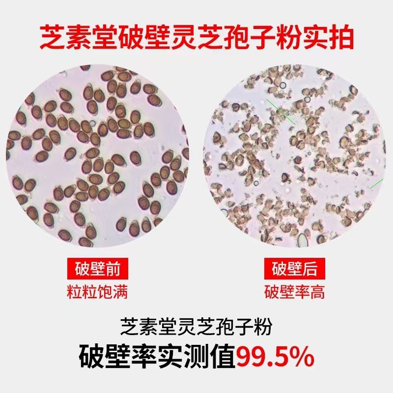 吃破壁灵芝孢子粉有什么好处？想要好处？来这里，这里有你想要的