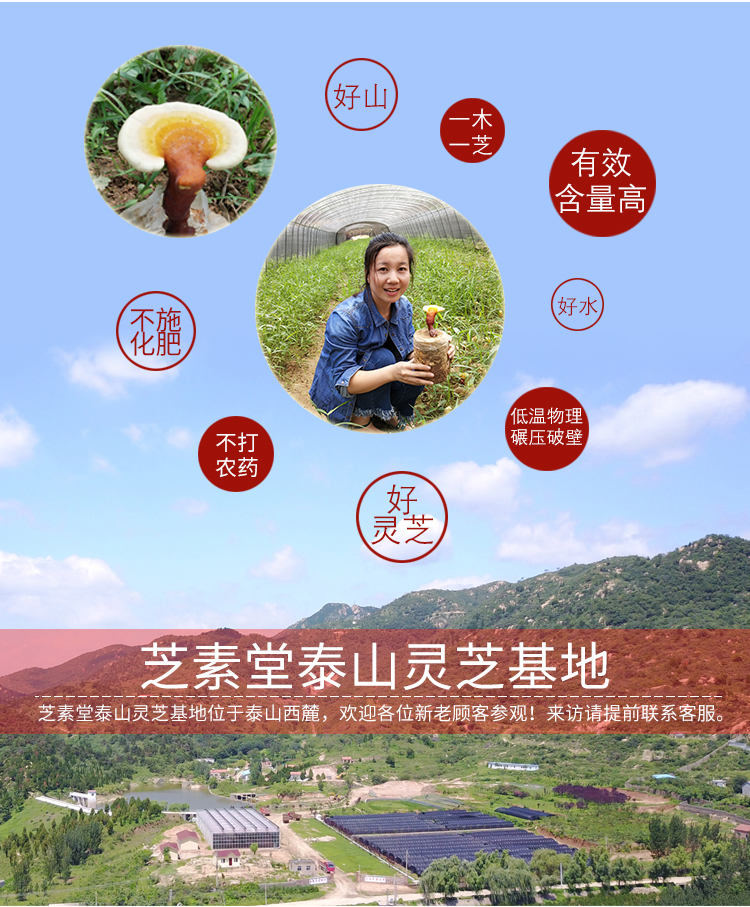 灵芝孢子粉产地哪里的好？好环境决定了好品质