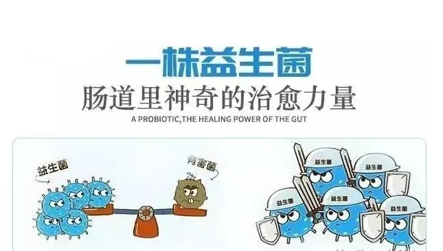 吃益生菌可以打疫苗吗？大部分人都做错了，看看你踩坑了吗！