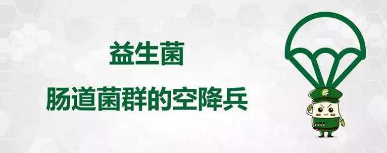益生菌是什么?这些知识干货为你解答