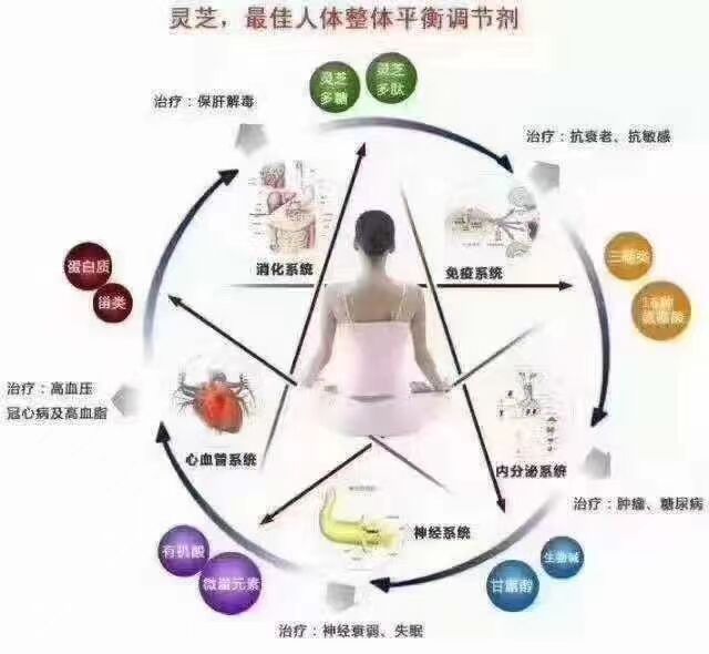 灵芝孢子粉真的那么好吗，究竟是噱头，还是名副其实？