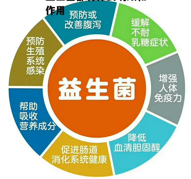 益生菌都有什么功效和作用？怎么不早点告诉我！