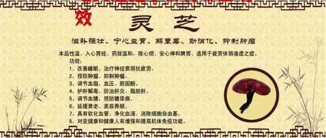 吃灵芝孢子粉有哪些功效，你知道吗？