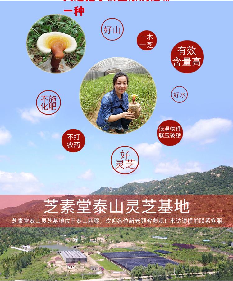 灵芝孢子粉正宗的是哪一种，三个标准帮你避坑，不再交智商税！