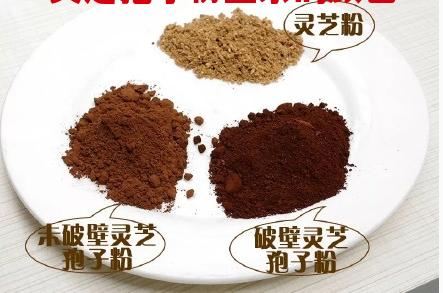 灵芝孢子粉正宗的颜色竟然是这样的！那我之前吃的……