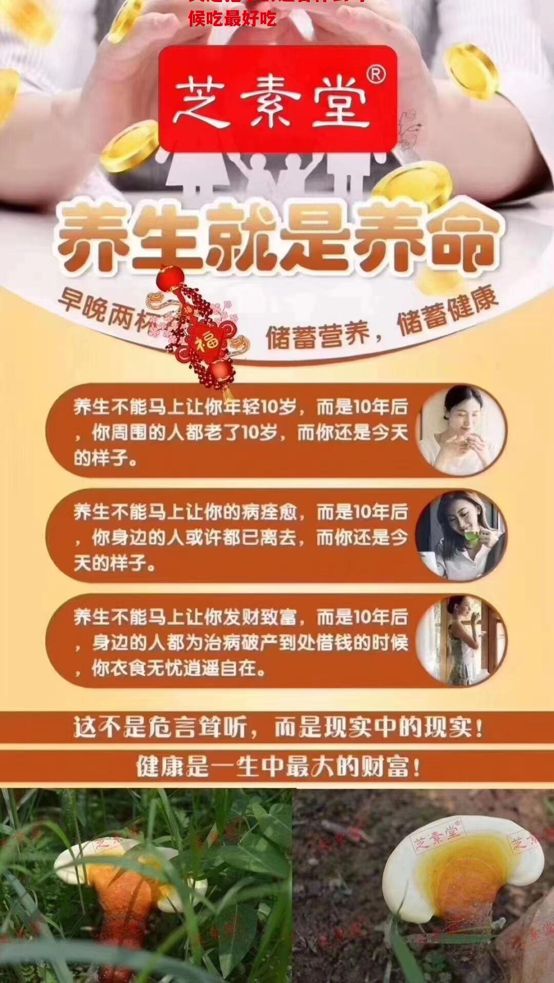 灵芝孢子粉适合什么时候吃最好吃？切勿盲目模仿别人
