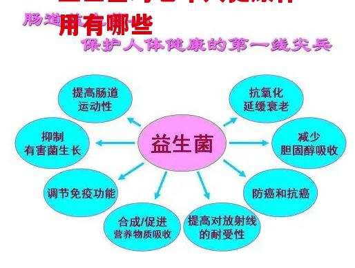 QQ图片20221207144204.png