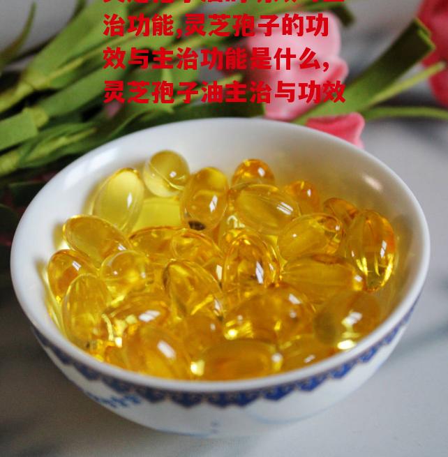 灵芝孢子油的功效与主治功能看看你了解多少？