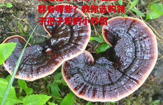 9-1G015112939.jpg 9-1G015112939.jpg