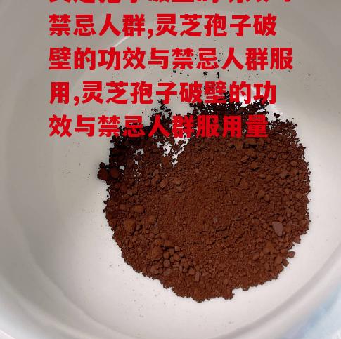 灵芝孢子破壁的功效与禁忌人群不了解的看过来！