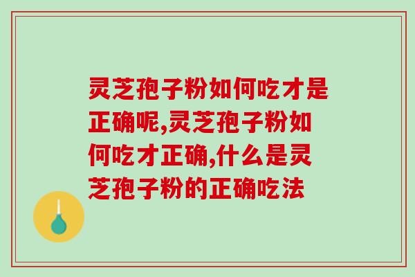 灵芝孢子粉如何吃才是正确呢?一文告诉你答案 灵芝孢子粉如何吃才是正确呢?一文告诉你答案