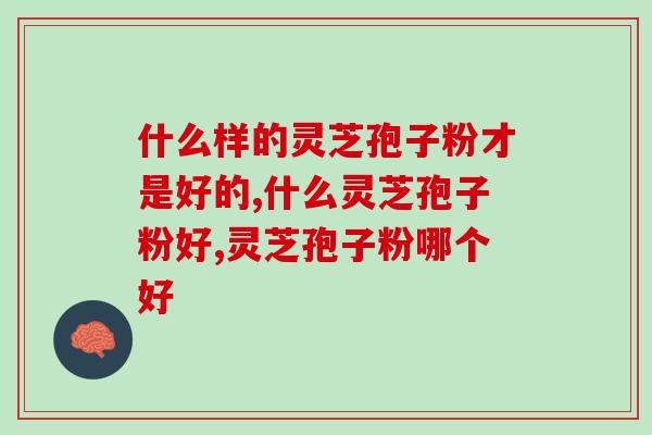 什么样的灵芝孢子粉才是好的？认准这几个挑选标准哦