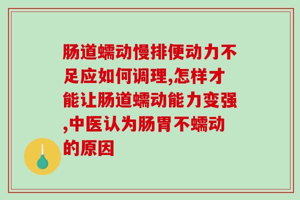 肠道蠕动慢排便动力不足应如何调理？益生菌来帮你解决