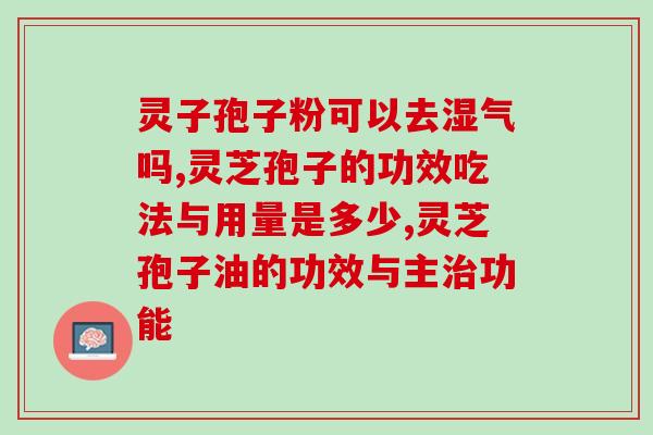 灵子孢子粉可以去湿气吗？去湿寒原来如此重要！