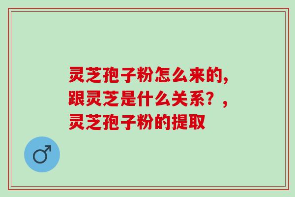 灵芝孢子粉怎么来的，是灵芝打成粉吗