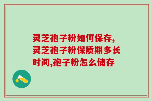 灵芝孢子粉如何保存呢？