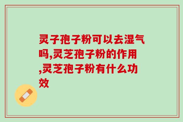 灵芝孢子粉可以去湿气吗？有很多好处你都不知道！