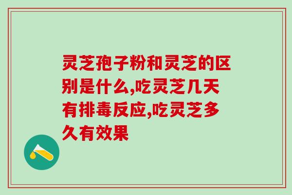 灵芝孢子粉和灵芝的区别是什么?它们原来是这样的关系 灵芝孢子粉和灵芝的区别是什么?它们原来是这样的关系