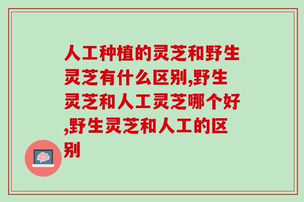 人工种植的灵芝和野生灵芝有什么区别,千年灵芝是否真的存在? 人工种植的灵芝和野生灵芝有什么区别,千年灵芝是否真的存在?